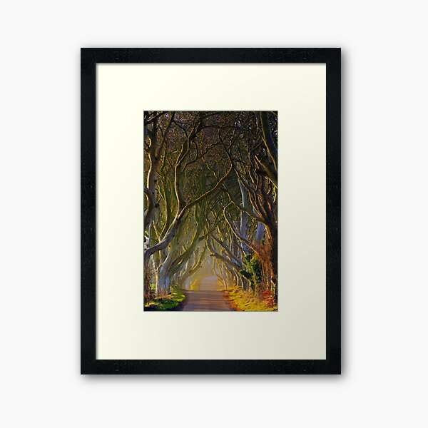 Item preview, The Dark Hedges  Game of Thrones County Antrim  Northern Ireland designed and sold by Zdrojewski.