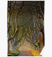 The Dark Hedges Game of Thrones County Antrim Northern Ireland Poster