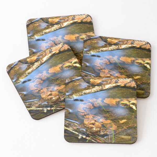 Item preview, Hypo Northern Cottonmouth designed and sold by Paul-Prints.
