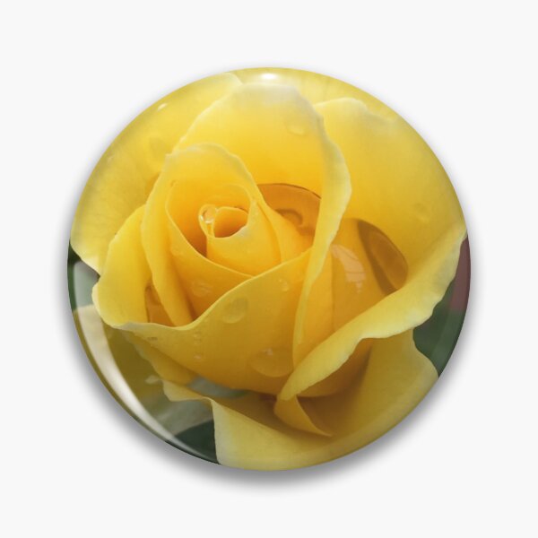 Item preview, Yellow Rose designed and sold by Crowe75.