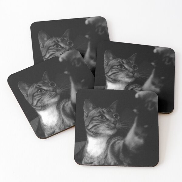 Item preview, Cat play designed and sold by SamsFotos.
