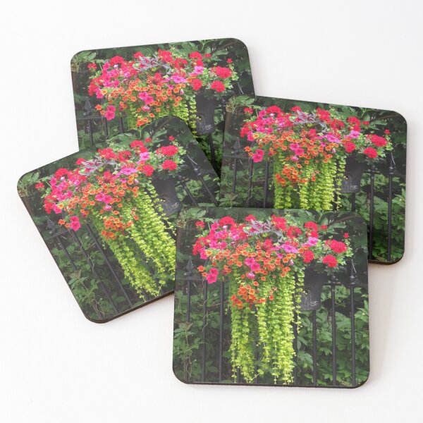 Item preview, Petunias, Geraniums and Lysimachia designed and sold by wiggyofipswich.