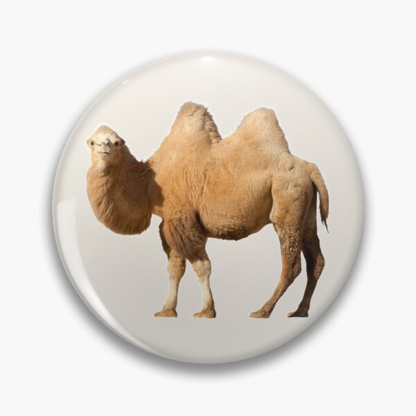 Item preview, A Live Camel Of Orange Color Stands and Looks Forward designed and sold by Phantasmal-2-do.