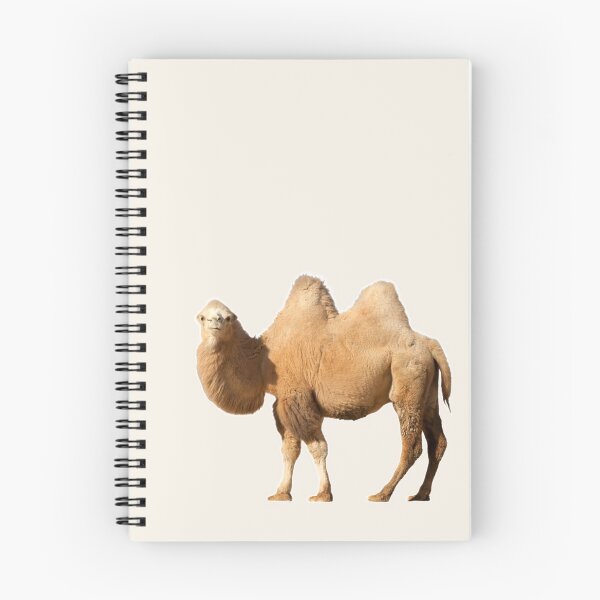 Item preview, A Live Camel Of Orange Color Stands and Looks Forward designed and sold by Phantasmal-2-do.