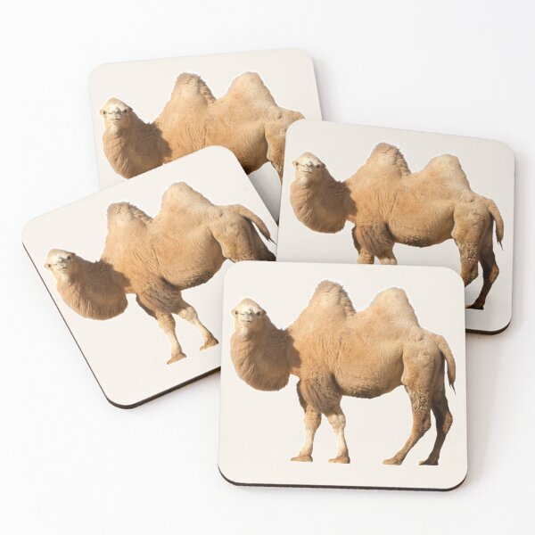 Item preview, A Live Camel Of Orange Color Stands and Looks Forward designed and sold by Phantasmal-2-do.