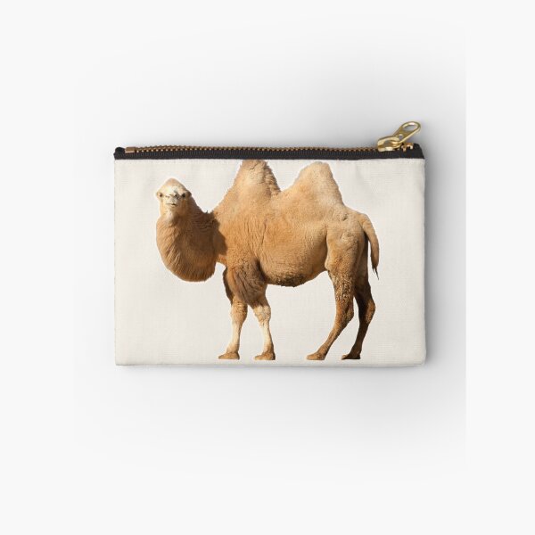 Item preview, A Live Camel Of Orange Color Stands and Looks Forward designed and sold by Phantasmal-2-do.