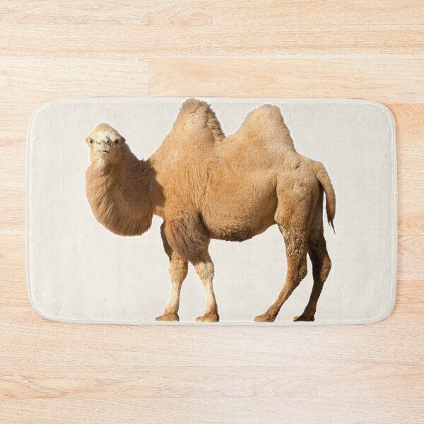 Item preview, A Live Camel Of Orange Color Stands and Looks Forward designed and sold by Phantasmal-2-do.