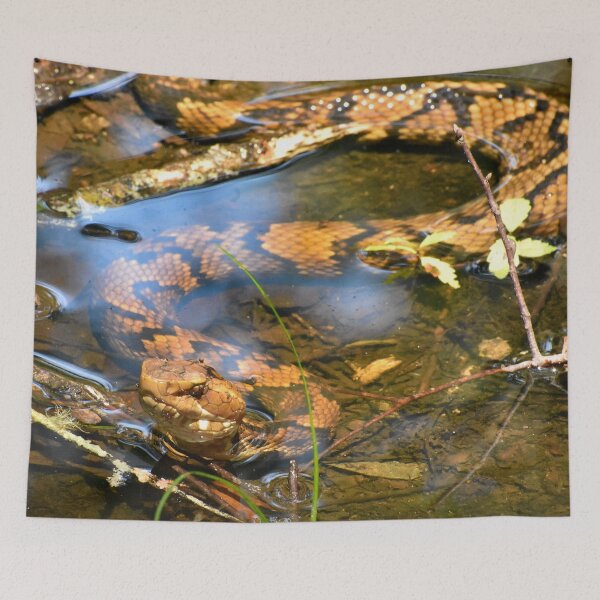 Item preview, Hypo Northern Cottonmouth designed and sold by Paul-Prints.
