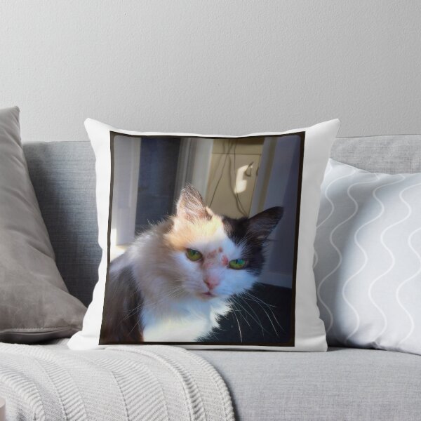 Artikelvorschau, FRÖHLICHE KATZE entworfen und verkauft von trevorp.