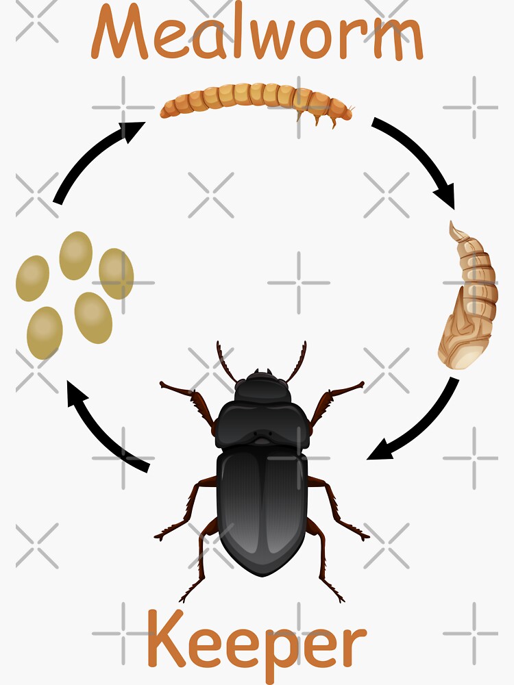 "Mealworm Keeper gift for mealworm keeper , chicken keeper , birds