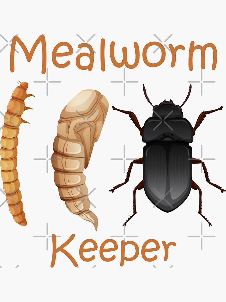 "Mealworm Keeper gift for mealworm keeper , chicken keeper , birds
