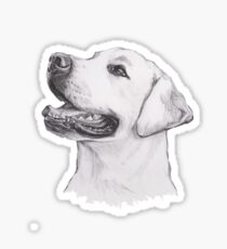 Labrador Retriever Dog Portrait Drawing Sticker