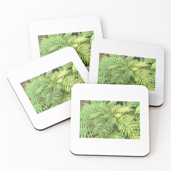 Item preview, Wollemi Pine - beautiful prehistoric tree designed and sold by K8Simmons.