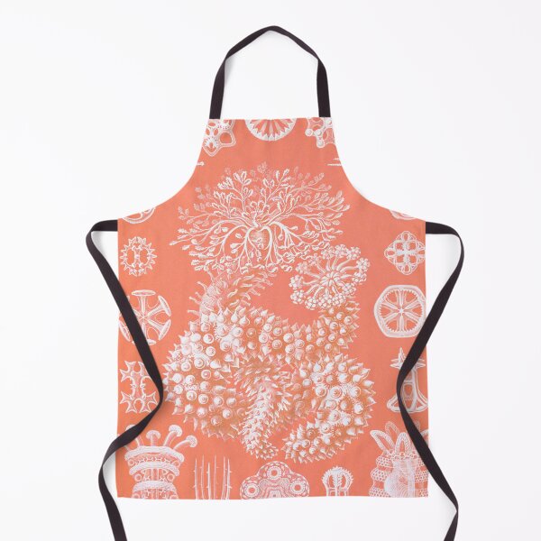 Item preview, Thuroidea–Gurkensterne (1904) by Ernst Haeckel- Peach designed and sold by AntiquusForma.