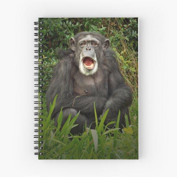 Aperçu de l'œuvre Chimpanzé bâillant créée et vendue par BrainwaveArt.