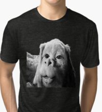 Falkor The Luck Dragon From The Neverending Story Design Tri-blend T-Shirt