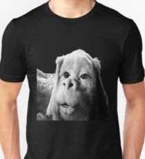 Falkor The Luck Dragon From The Neverending Story Design Unisex T-Shirt