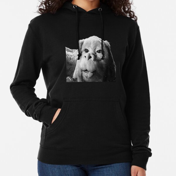 Falkor The Luck Dragon From The Neverending Story Design Lightweight Hoodie