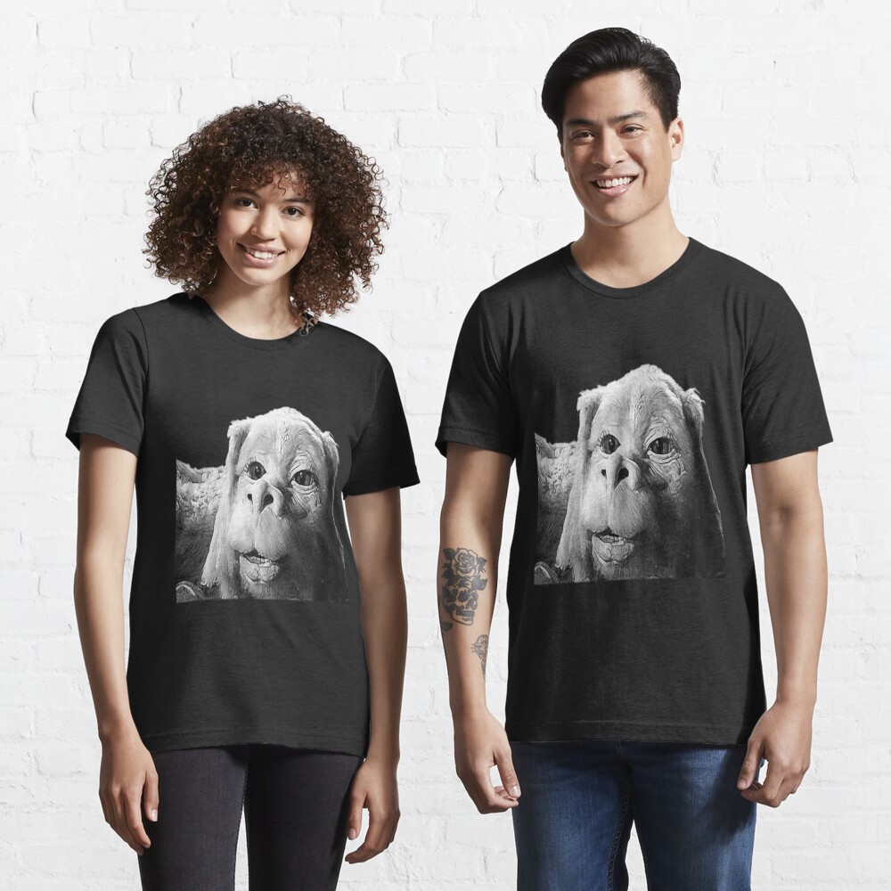 Falkor The Luck Dragon From The Neverending Story Design Essential T-Shirt