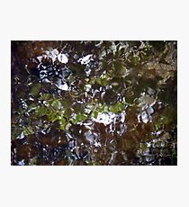 Camouflage Tiles Photographic Print