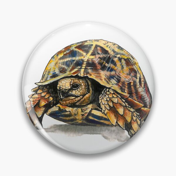 Item preview, Beautiful Watercolour Tortoise designed and sold by CarolineJordaan.