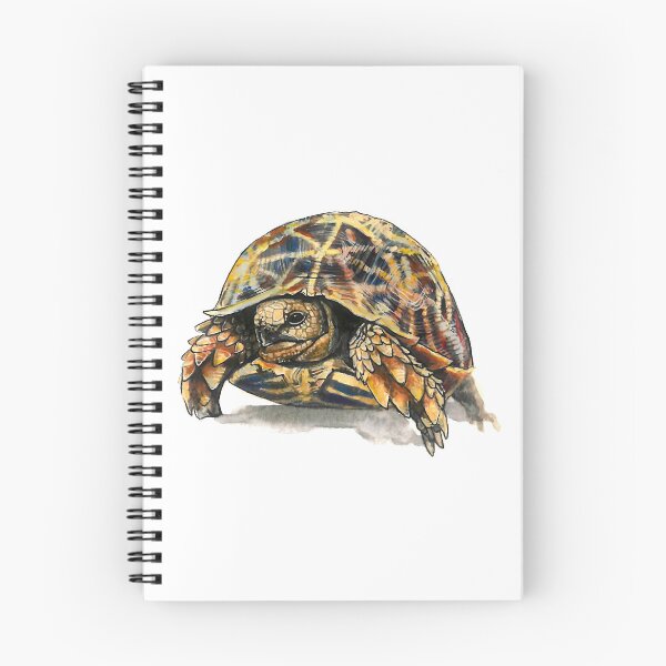 Item preview, Beautiful Watercolour Tortoise designed and sold by CarolineJordaan.