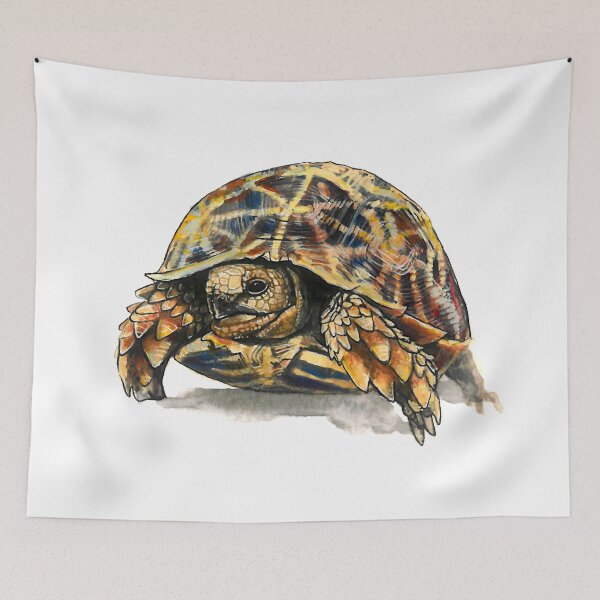 Item preview, Beautiful Watercolour Tortoise designed and sold by CarolineJordaan.