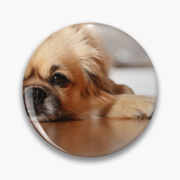 Item preview, Tibetan Spaniel Dog designed and sold by Mikko  Suhonen.