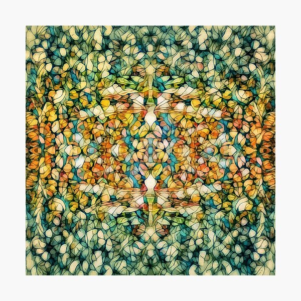 Dragonfly Photographic Print