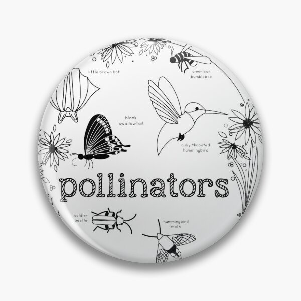 Item preview, Pollinators designed and sold by sproutsschool.