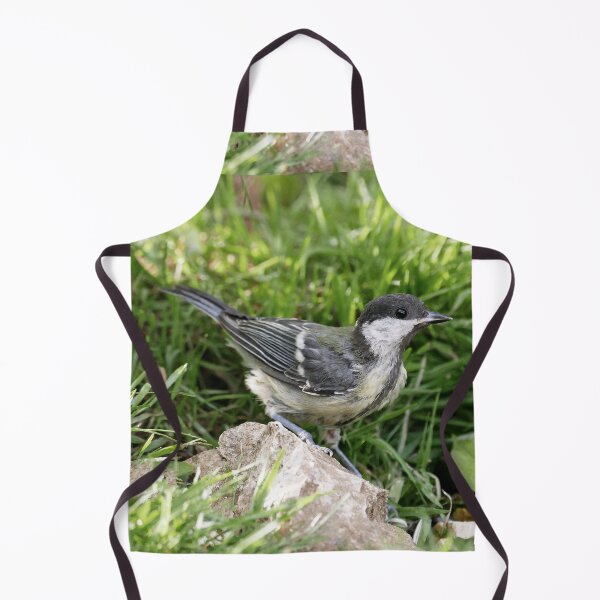 Item preview, r1079 New Finition 2021 -- Oiseau " Mésange Charbonnière " 2014 (c)(t) Olavia-Olao Okaio Créations designed and sold by o.okaïo.