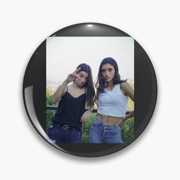 Item preview, Charli and dixie d'amelio designed and sold by HendrixHoffm.