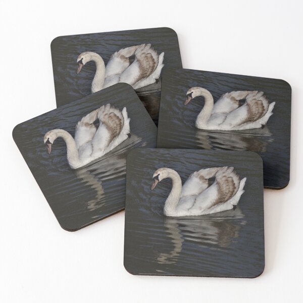Item preview, Young Mute Swan designed and sold by Jeremy Hayden.
