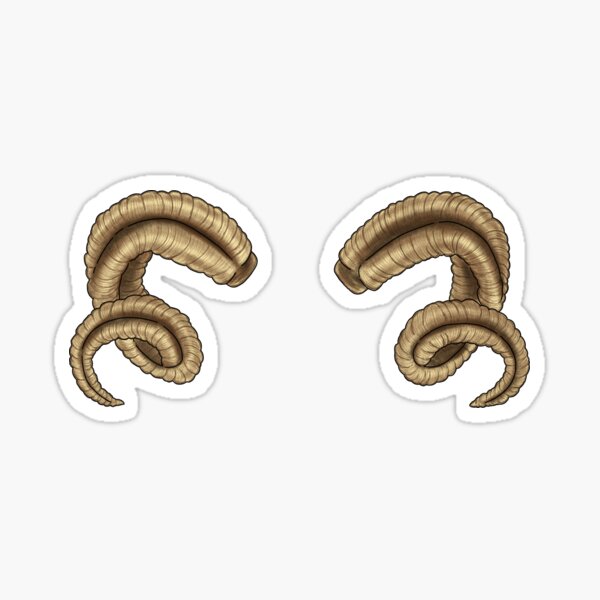 Ram Horns Sticker