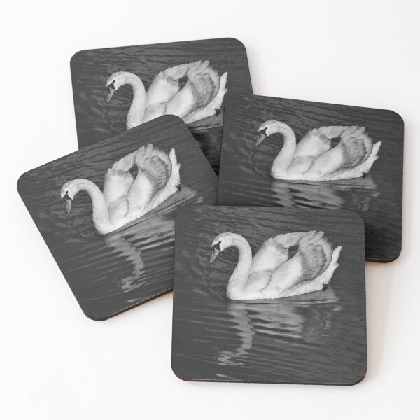 Item preview, Young Mute Swan in Black and White designed and sold by Jeremy Hayden.