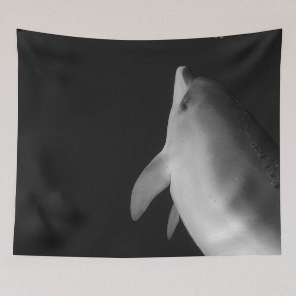 Item preview, Baby dolphin black and white designed and sold by Chloé Yzoard.