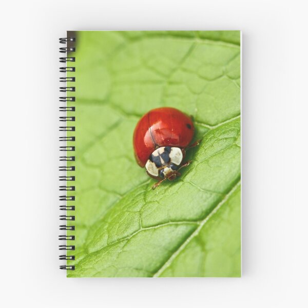 Item preview, Ladybug designed and sold by Carson Winston.