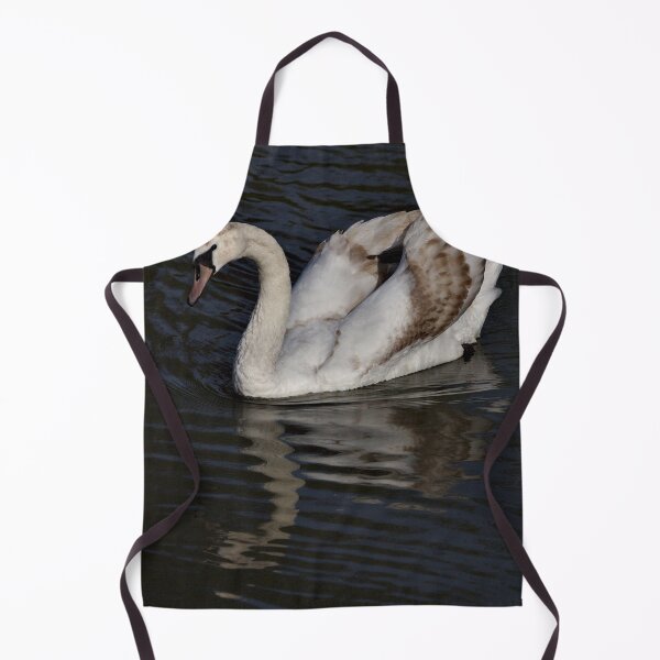 Item preview, Young Mute Swan designed and sold by Jeremy Hayden.