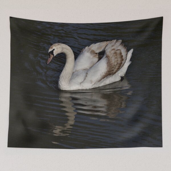 Item preview, Young Mute Swan designed and sold by Jeremy Hayden.
