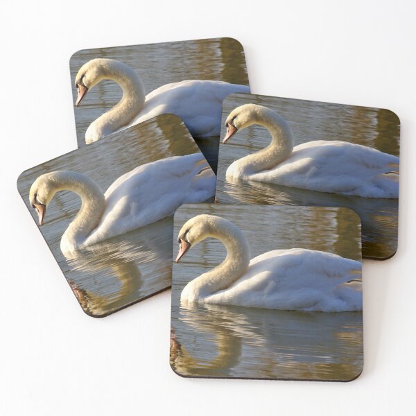 Item preview, Swan in the Morning Light designed and sold by Jeremy Hayden.
