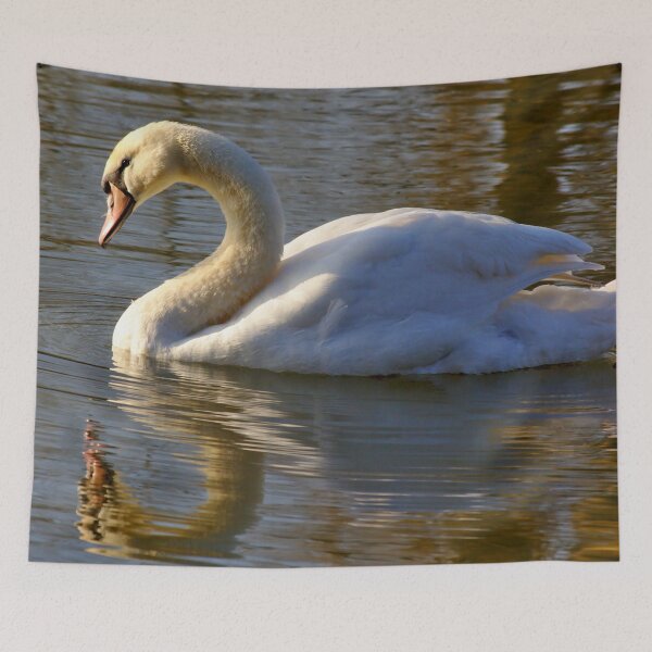 Item preview, Swan in the Morning Light designed and sold by Jeremy Hayden.