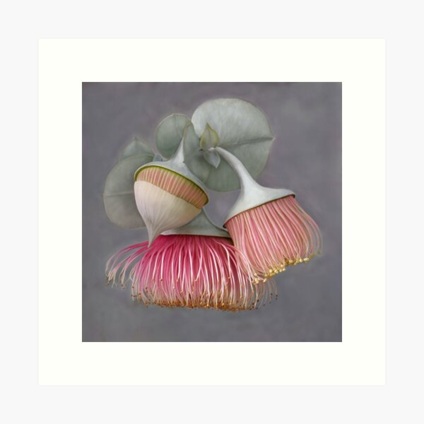 Item preview, Rose Mallee designed and sold by Kestrelle.