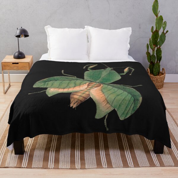 Item preview, Insectos Vintage Mantis Religiosa designed and sold by KainOdeh.