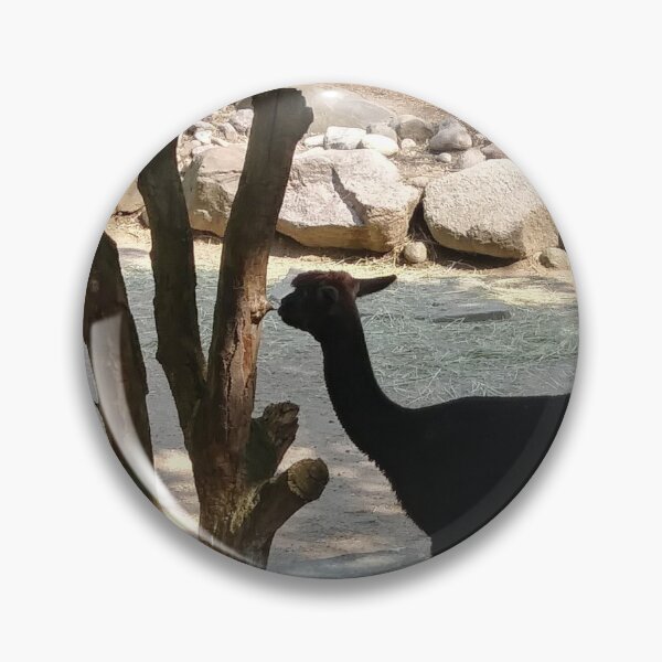 Item preview, Llama Take It All In designed and sold by Yolitha Lanay Carter.