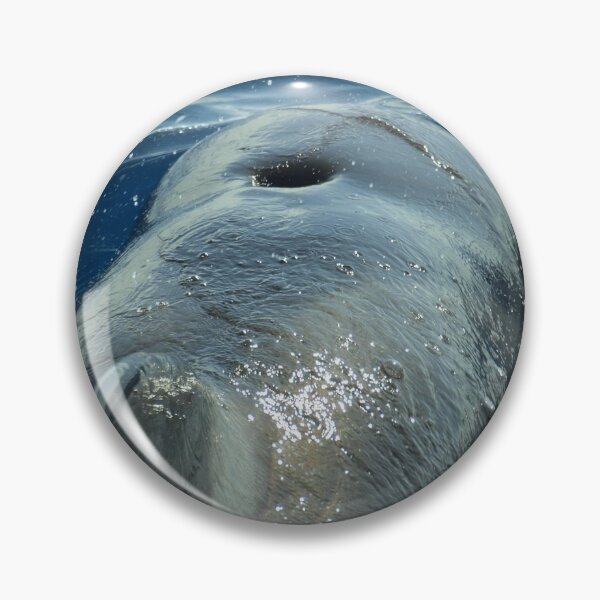 Item preview, Pilot whale rider designed and sold by Chloé Yzoard.