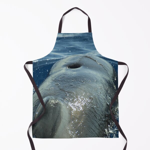 Item preview, Pilot whale rider designed and sold by Chloé Yzoard.
