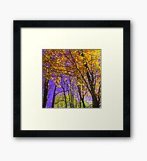 Purple Sky Framed Print