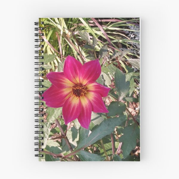 Item preview, Star Flower designed and sold by Yolitha Lanay Carter.