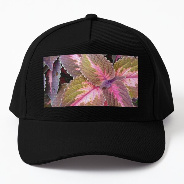 PLANT IT Baseball Cap