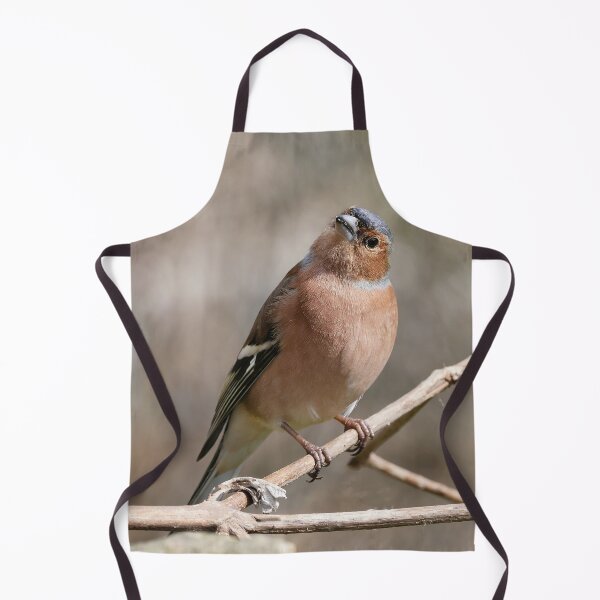 Item preview, r1078 / New Finition 2021 -- Oiseau " Pinson des Bois " Attentif et Curieux " 2015 (c)(t) Olavia-Olao Okaio Créations designed and sold by o.okaïo.